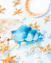 Load image into Gallery viewer, Smooth Seashell - Blue
